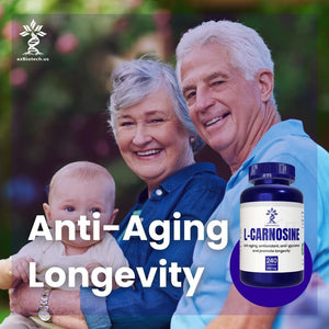 L-Carnosine 400Mg Capsules, 240 Count, L-Carnosine Supplement for Immune Support, Cellular Health, Energy Production, and Performance Enhancement