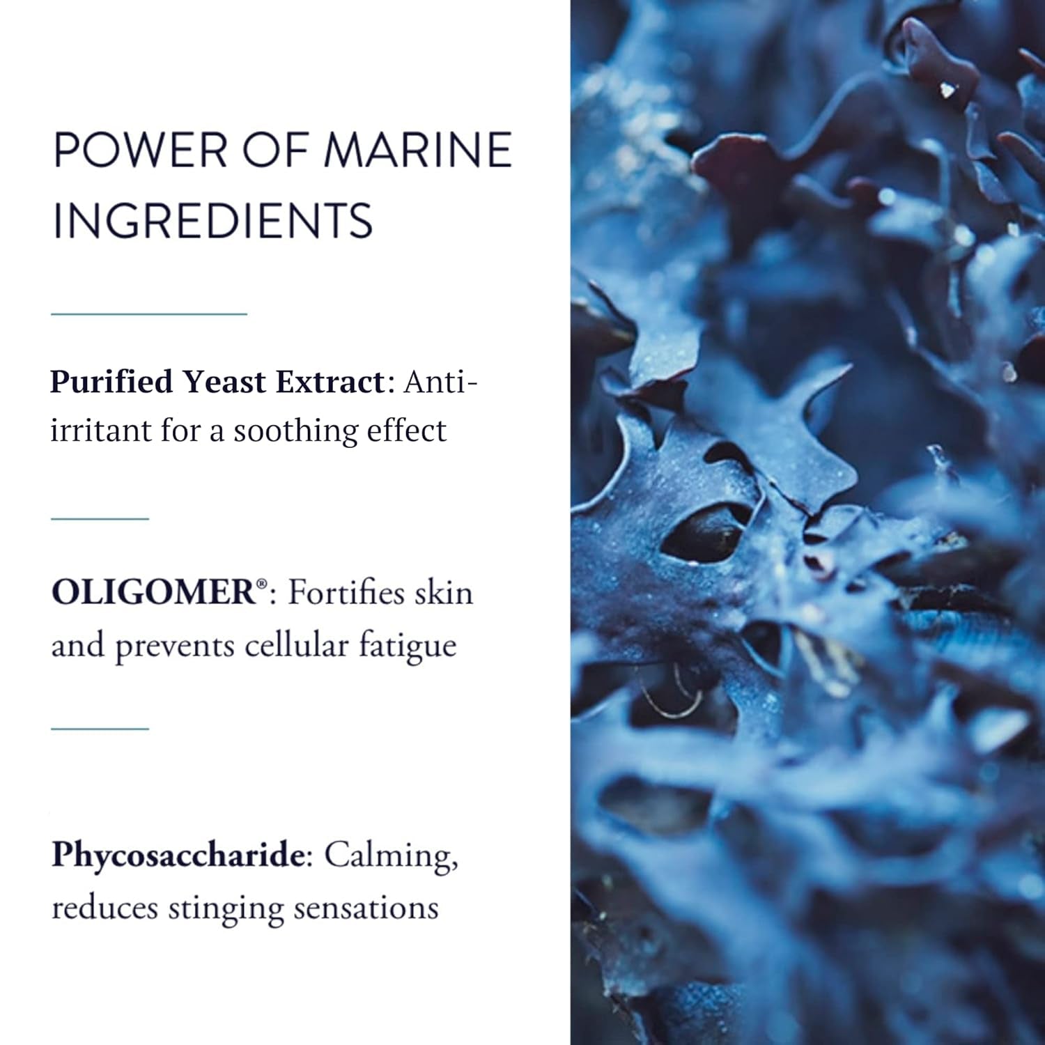 PHYTOMER Oligoforce Soothing Enforcement Face Serum | Soothing Skin Serum for Irritated, Sensitive Skin | Calms Skin & Reduce Redness | Natural Ingredients | Sustainable & Eco-Friendly | 30 Ml