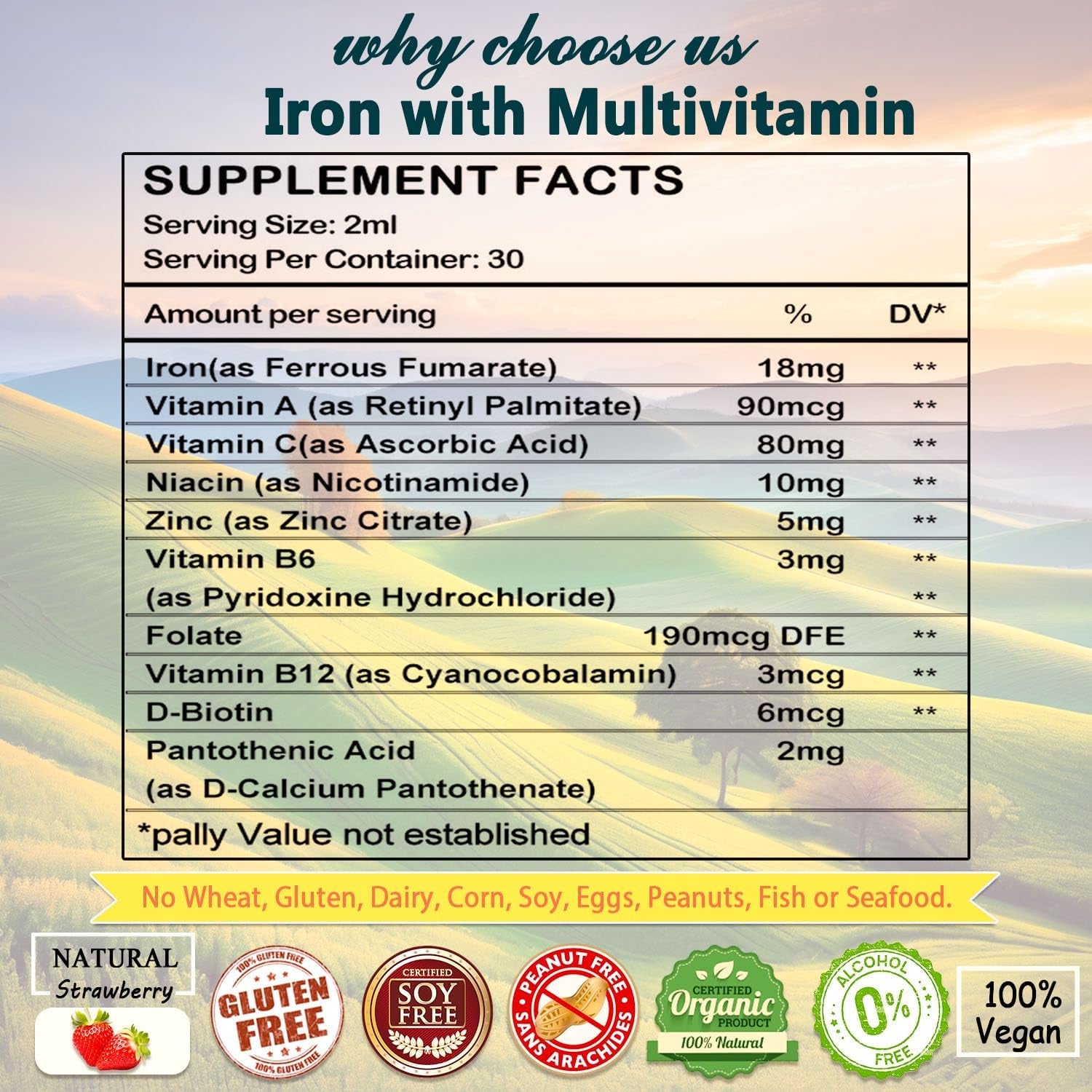 Liquid Iron Supplement W/ Vitamin C, A, B-Complex, Vegan Iron Drops High Potency Liquid Vitamin & Iron Supplements for Women, Men & Children -Support Red Blood Cell, Energy, Anemia & Fatigue