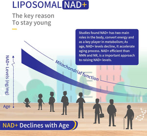 Liposomal NAD+ Supplement 800Mg with TMG 300Mg, Max Absorption Actual NAD+ Supplement（Not a Precursor for Cell Energy, Healthy Aging and Muscle Repair 60 Capsules