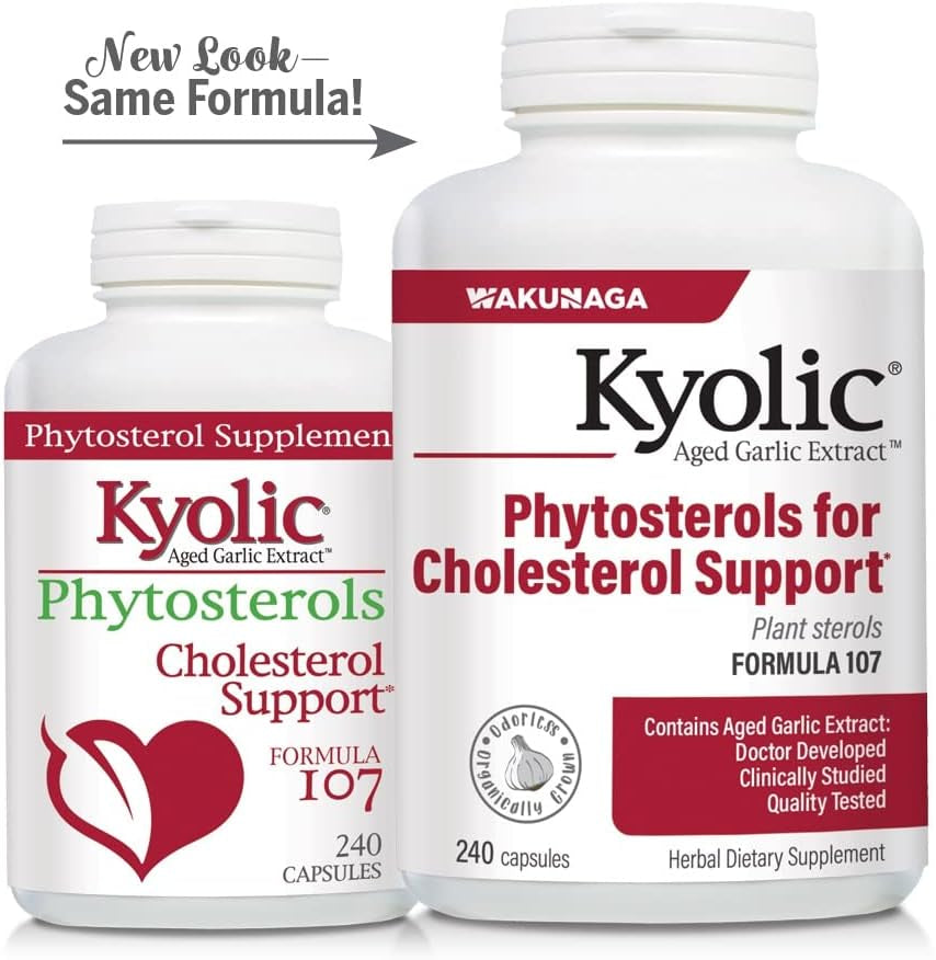 Kyolic Aged Garlic Extract Formula 107, Phytosterols for Cholesterol Support, 240 Capsules (Packaging May Vary) 