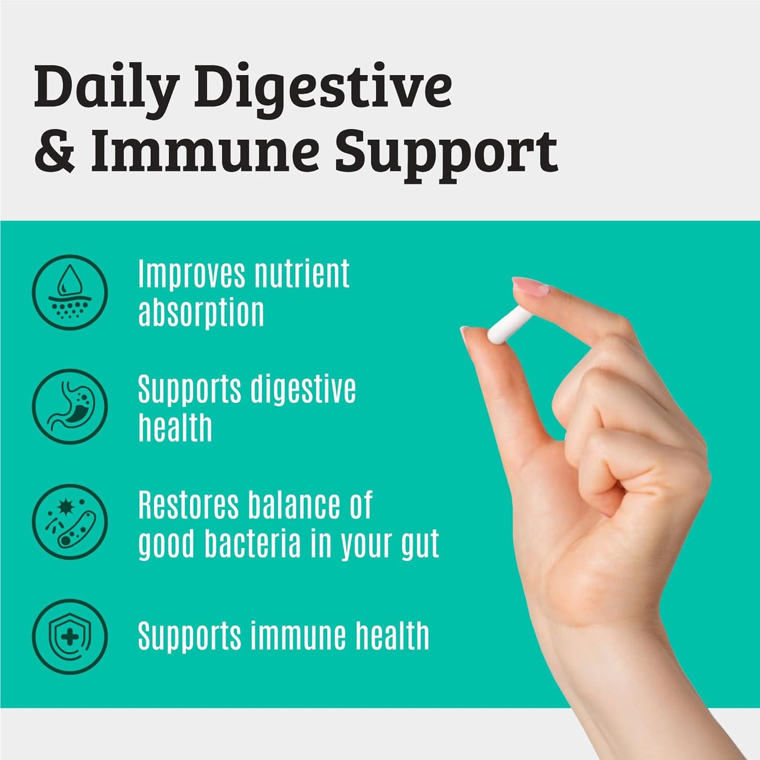 Prebiotics and Probiotics: Lactobacillus Gasseri, Lactobacillus Rhamnosus, Plantarum, Casei, Bifidobacterium Longum, Lactis, Infantis. Probiotic Prebiotic, Pre and Probiotics for Digestive Health.