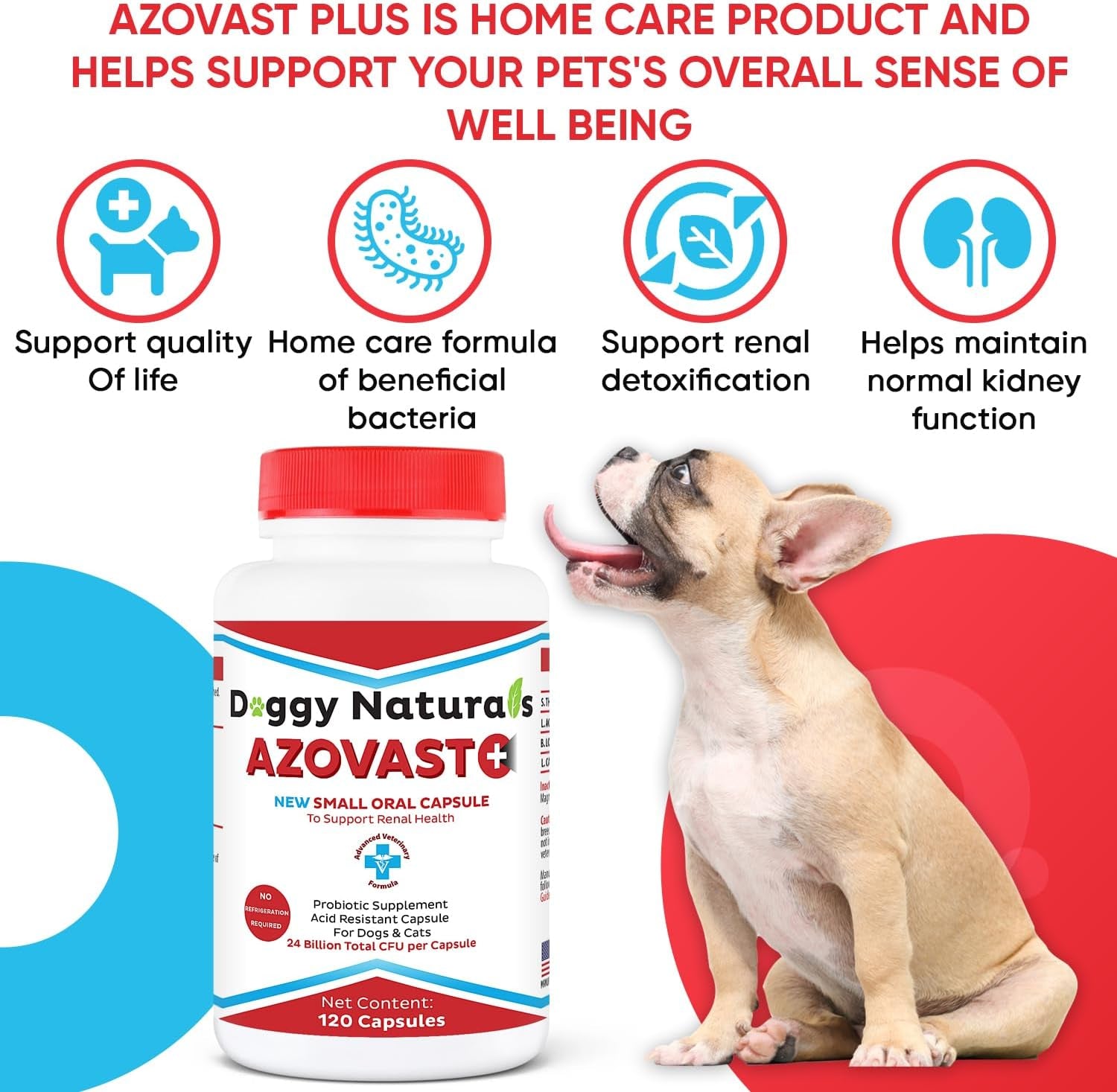 Azovast Powder Kidney Restores & Kidney Powder for Dogs & Cats, (4 Oz) - (175 Scoop/Jar) NO Refrigeration Required - Help Support Kidney Function & Manage Renal Toxins (Made in U.S.A) (4 Oz)