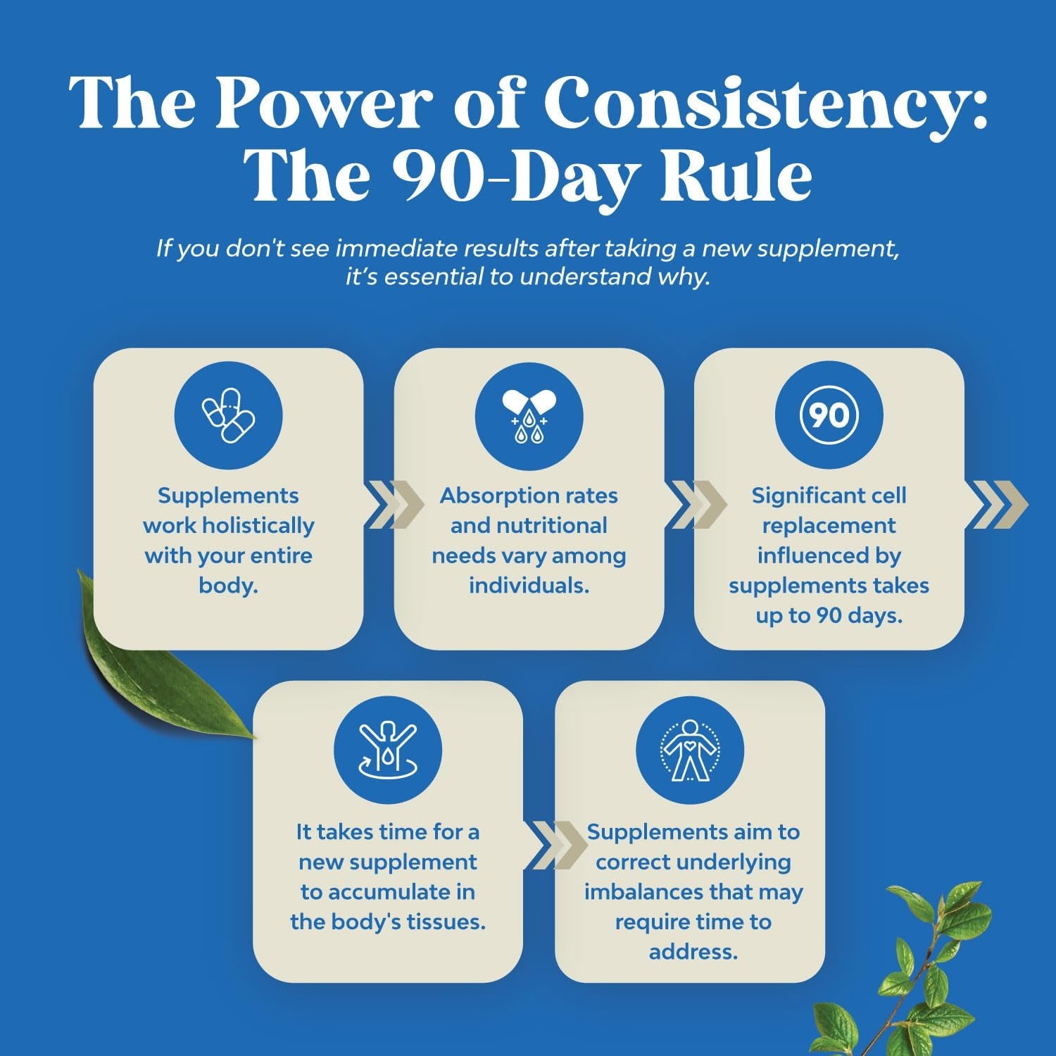 DHEA 100Mg for Men and Women - Vegan High Strength DHEA Supplement for Women & Men for Enhanced Energy and Hormone Balance for Women & Men - Men and Womens Hormone Balance Supplement (6 Month Supply)