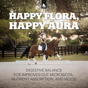 Daily Gold Stress Relief – Natural Digestive and Ulcer Supplement for Horses 