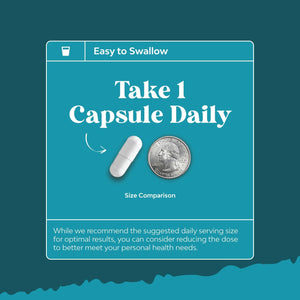 Free Form L Tyrosine 500Mg Capsules - High Strength L-Tyrosine Supplement for Mental Energy and Focus Support - Amino Acid Nootropic Supplement for Mood Focus Attention and Cognitive Performance