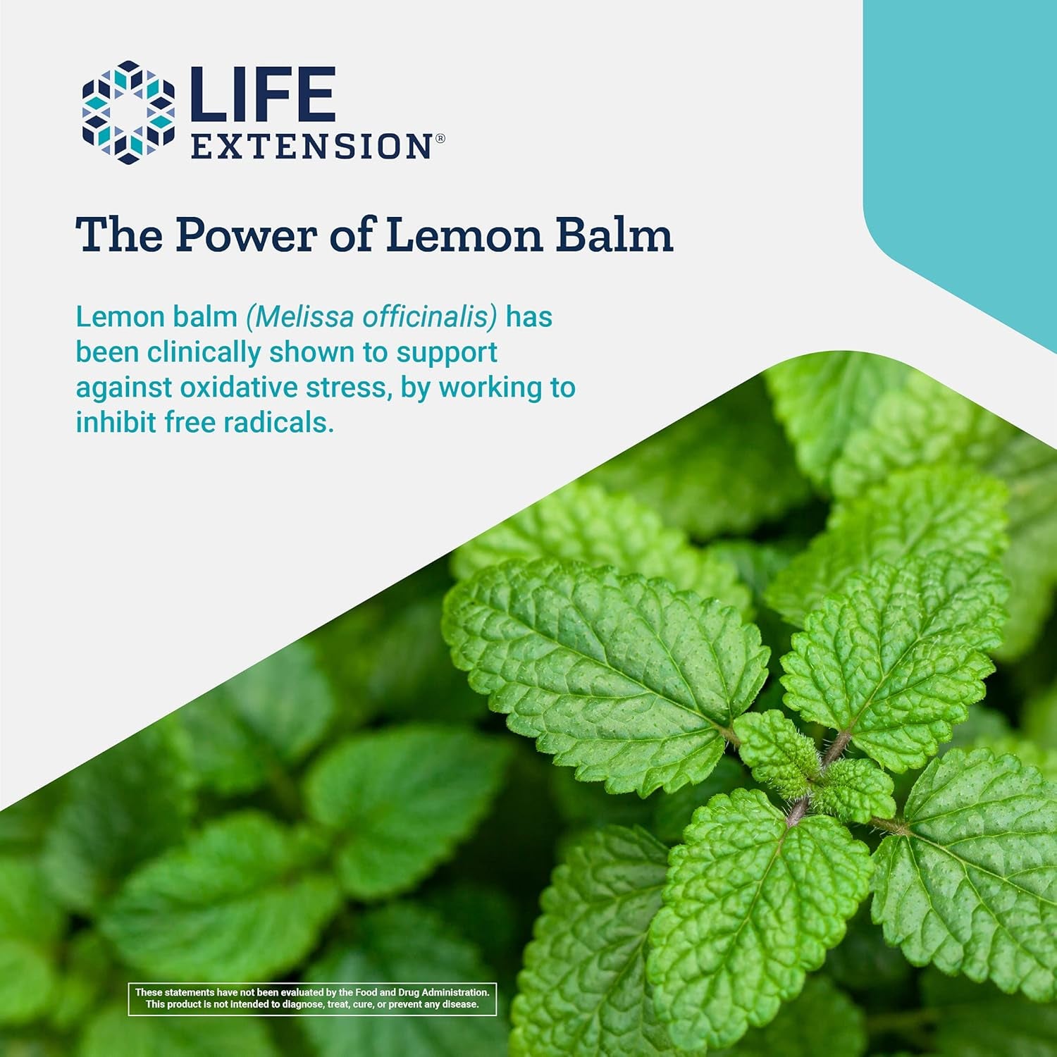 Life Extension X-R Shield Powerful Antioxidant Support - Spirulina, Lemon Balm, Gingko Supports Cellular Integrity, DNA Health & Immune System Health - Non-Gmo, Gluten Free - 90 Vegetarian Capsules