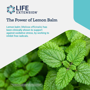 Life Extension X-R Shield Powerful Antioxidant Support - Spirulina, Lemon Balm, Gingko Supports Cellular Integrity, DNA Health & Immune System Health - Non-Gmo, Gluten Free - 90 Vegetarian Capsules