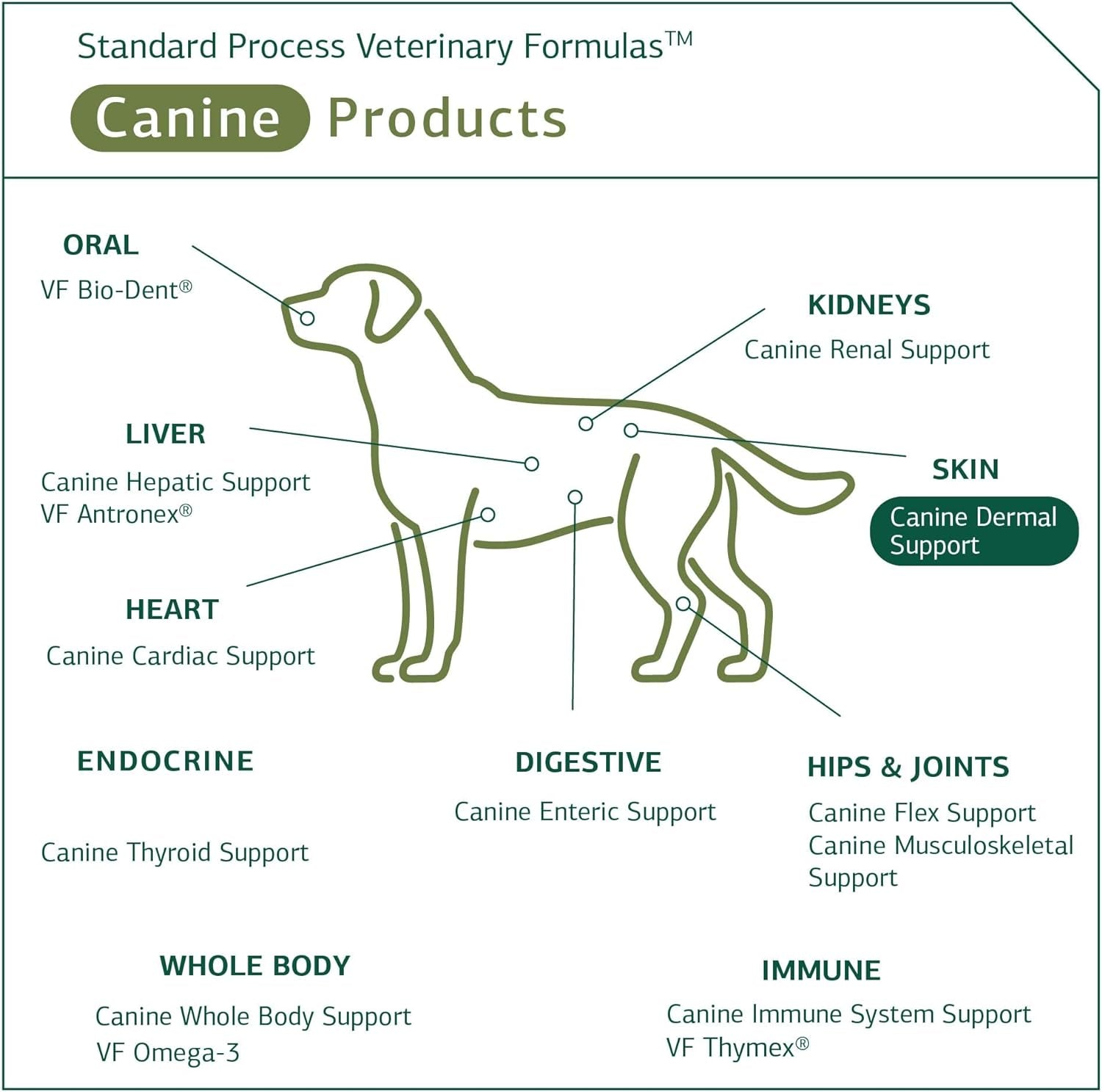 Standard Process Canine Dermal Support - Skin & Adrenal Gland Support Supplement - Comprehensive Skin Health Support Supplement for Dogs - Daily Immune & Liver Support Powder - 125 G