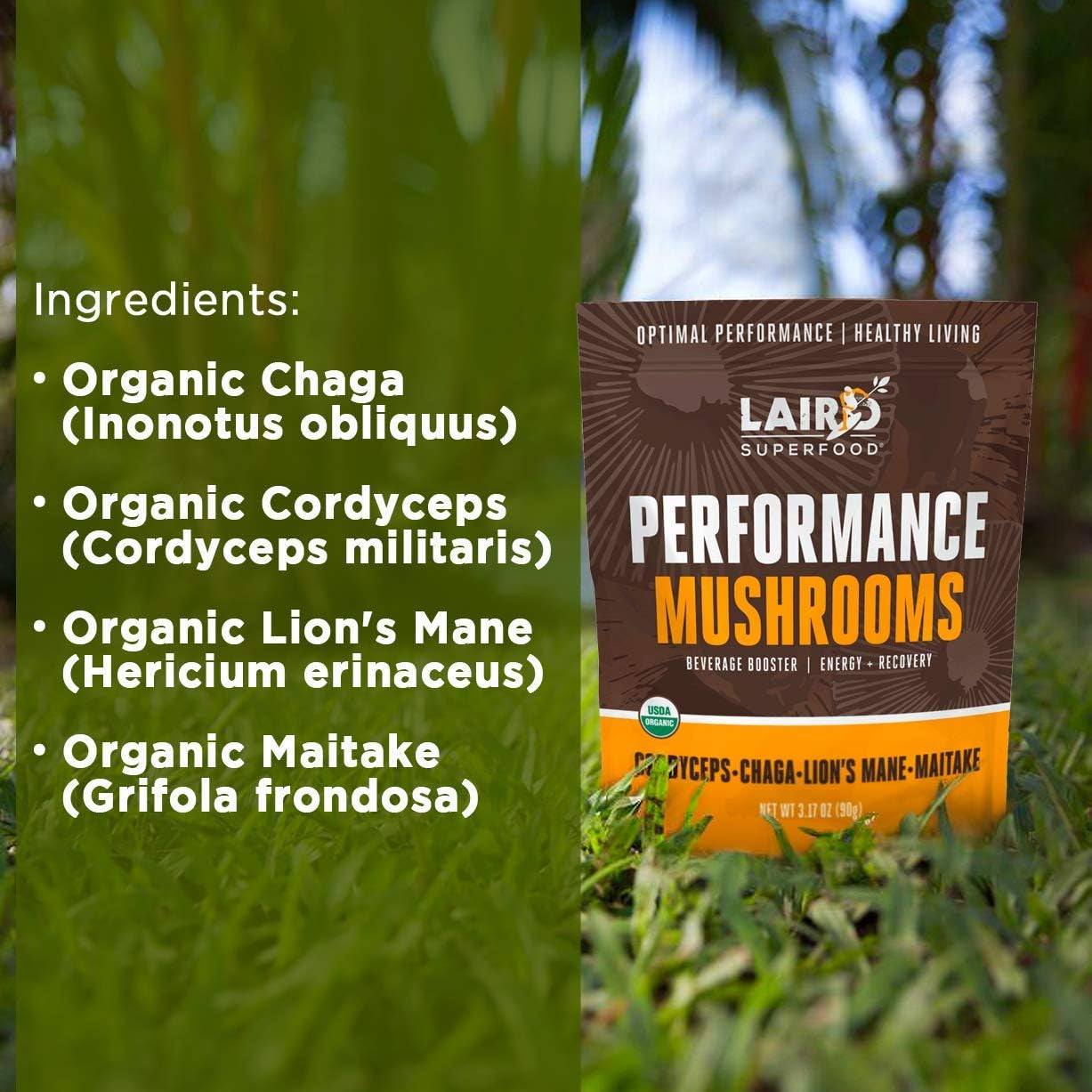 Laird Superfood Organic Performance Mushroom Blend with Chaga, Cordyceps, Lion'S Mane and Maitake for Energy and Cognition, 3.17 Oz. Bag, Pack of 2