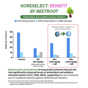 KORESELECT Beet Root Capsules with Vitamin E - Nitric Oxide Supplement Booster for Blood Circulation, Antioxidants Immune Support, Natural Athletic Performance, Wellness Formula - Vegan 60 Caps 