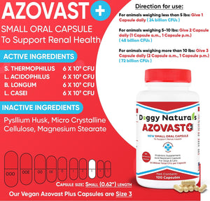 Azovast Powder Kidney Restores & Kidney Powder for Dogs & Cats, (4 Oz) - (175 Scoop/Jar) NO Refrigeration Required - Help Support Kidney Function & Manage Renal Toxins (Made in U.S.A) (4 Oz)