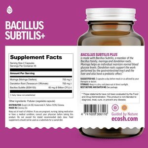 Bacillus Subtilis Spore Based Probiotic — High Potency Strain with Prebiotic for Balanced Belly | Daily Gut Health & Microbiome Support for Family | 6 Billion CFU per Day | 180 Vegetarian Capsules