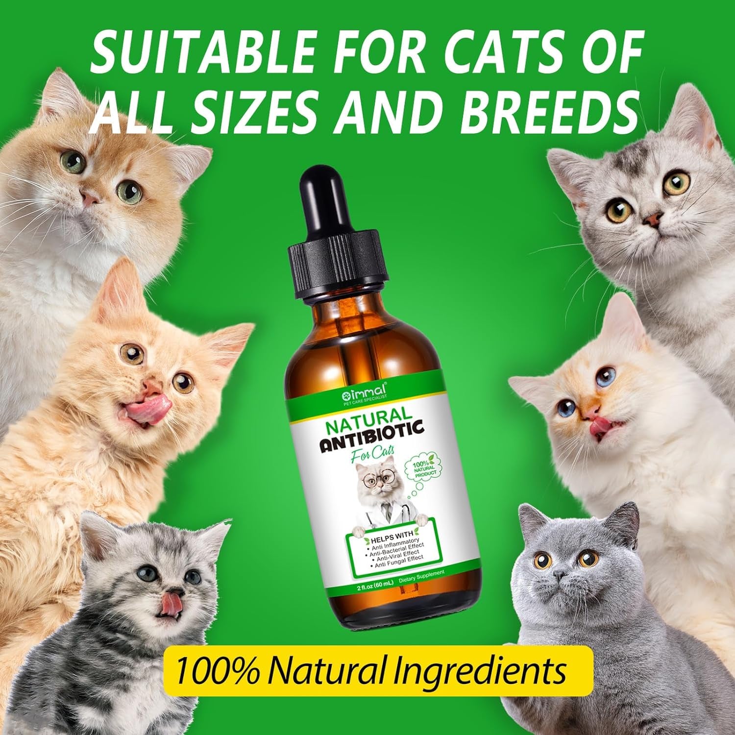 Premium Cat Antibiotics Supplement - Essential Multivitamin for Infection Support-Cat Antibiotic, Supports Cat Allergy Itch Relief, White