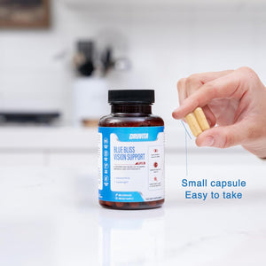 Blue Bliss Vision Support - Eye Vitamins with Lutein, Bilberry and Zeaxanthin - Vitamin Supplement for Macular Degeneration Support, Vision Health and Preservation for Adults Seniors 60 Capsules 