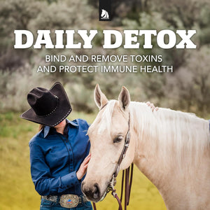 Daily Gold Stress Relief – Natural Digestive and Ulcer Supplement for Horses 