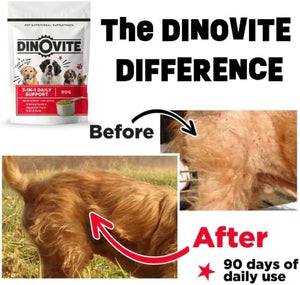 Dinovite Probiotic Supplement for Dogs - Omega 3 for Dogs - Hot Spot Relief - Skin & Coat Supplement for Dogs - 30 Day Supply (30 Day Supply, Large Dogs (45+ Lbs))