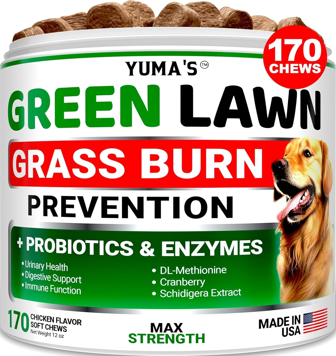 Probiotics for Dogs and Digestive Enzymes - 170 Dog Probiotics Chews - Dog Probiotic - anti Diarrhea, Upset Stomach & Gas Relief, Constipation, Canine Prebiotic - Pet Fiber Supplement - Gut Health