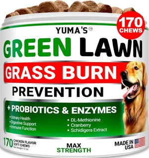 Probiotics for Dogs and Digestive Enzymes - 170 Dog Probiotics Chews - Dog Probiotic - anti Diarrhea, Upset Stomach & Gas Relief, Constipation, Canine Prebiotic - Pet Fiber Supplement - Gut Health
