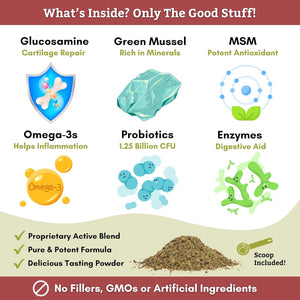 Wholistic Pet Organics: Joint Support Supplement for Dogs - Green Lipped Mussel (1Lb) with Glucosamine & Chondroitin - Dog Hip & Joint Pain Relief - Natural Arthritis Relief & Long-Term Joint Health