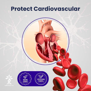 L-Carnosine 400Mg Capsules, 180 Count, L-Carnosine Supplement for Immune Support, Cellular Health, Energy Production, and Performance Enhancement 