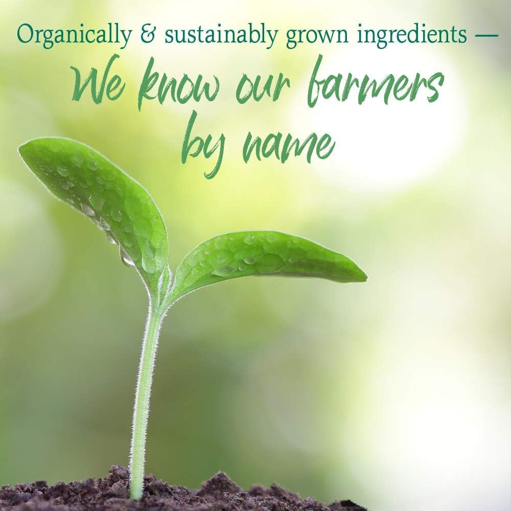 Garden of Life Raw Organic Perfect Food Green Superfood Juiced Greens Powder - Apple Flavor, 30 Servings - Vegan Gluten Free Whole Food Dietary Supplement, Greens plus Probiotics & Enzymes