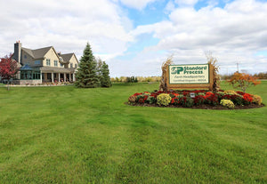 Standard Process - Prolamine Iodine - Supports Healthy Iodine Levels, Healthy Thyroid Function, Calcium, Iodine, Gluten Free and Vegetarian - 180 Tablets