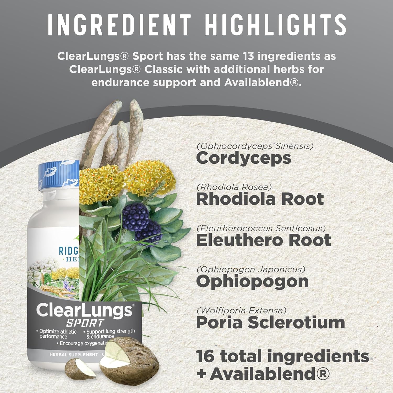 Ridgecrest Herbals Clearlungs Sport, Oxygen Intake and Lung Support Formula with Cordyceps, Rhodiola, Eleuthero (60 Vegan Caps, 30 Serv)