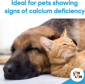 Calcium Now - Oral Calcium for Whelping Dogs - Dog & Cat Calcium Supplement Paste - Lots of Love (30 Ml) (30 Ml)