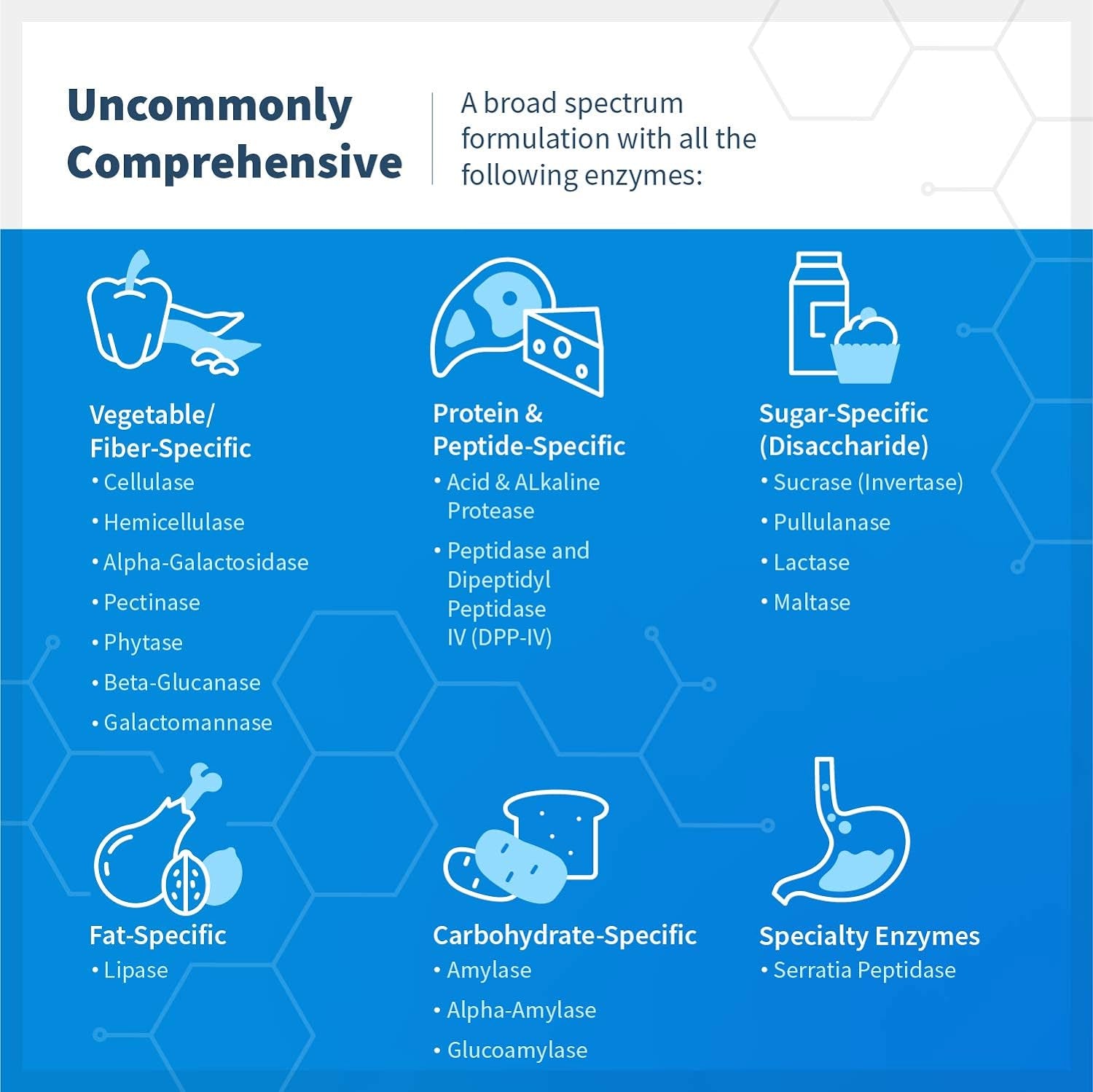 Klaire Labs Vital-Zymes Digestive Enzymes Chewable - Digestive Enzymes to Enhance Digestion - Supports the Breakdown of Proteins, Fats, Carbs, Sugars & Fibers - Gluten Free (180 Tablets)