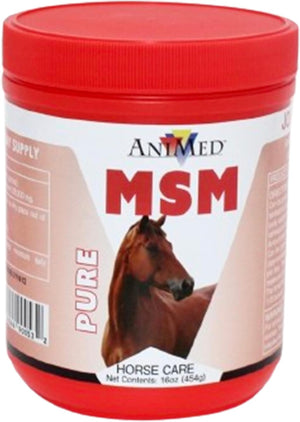 Animed Pure MSM Supplement for Horses, 1-Pound…