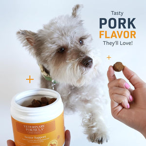 Veterinary Formula Smart Vitality Senior Support Supplement for Dogs - Soft Chews, 100Ct - Support Healthy Joints, Skin, Gut, and Immunity with Glucosamine Chondroitin for Dogs 