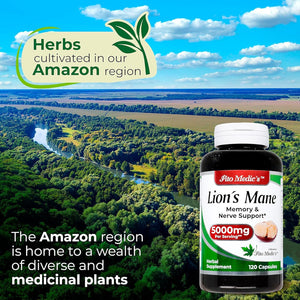 Lab | Lions Mane | 120 Capsules | Lions Mane Supplement | Lions Mane Supplement Capsules | Mushroom Supplement | Ultra High Absorption.