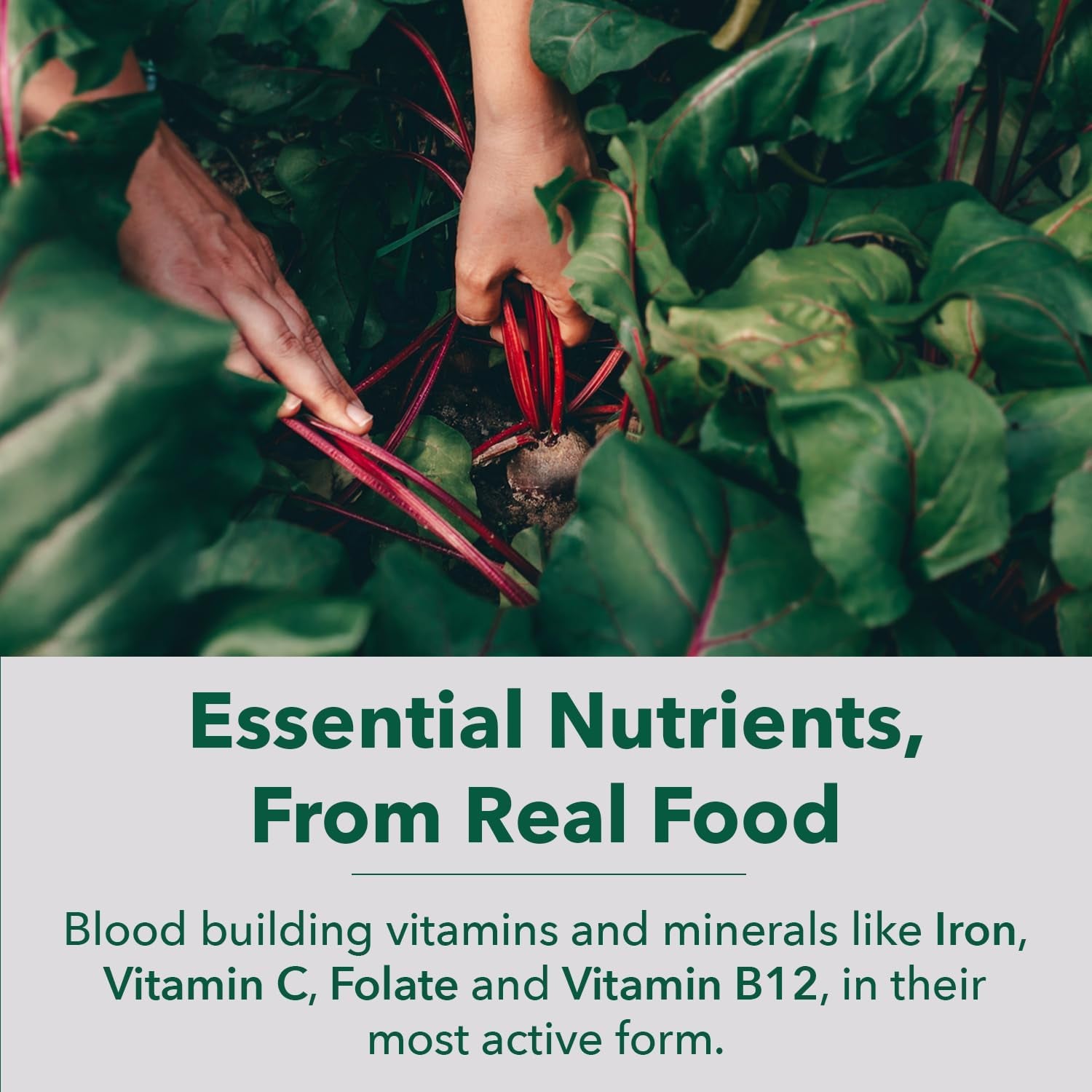 Plantfusion Vegan Iron Supplement for Women & Men - Gentle Plant-Based Iron with Vitamin C, Methyl B12, Folate - Non-Constipating, Wholefood Iron Pills for Energy, Anemia & Blood Support, 60 Capsules