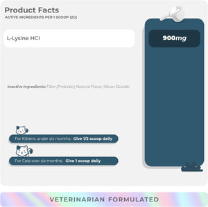 L-Lysine Supplement for Cats 900Mg/Scoop - Cat Supplement for Sneezing and Runny Nose, Cat Cold, Cat Immune Support, Eye Function, and Respiratory Health – Lysine Powder for Cat