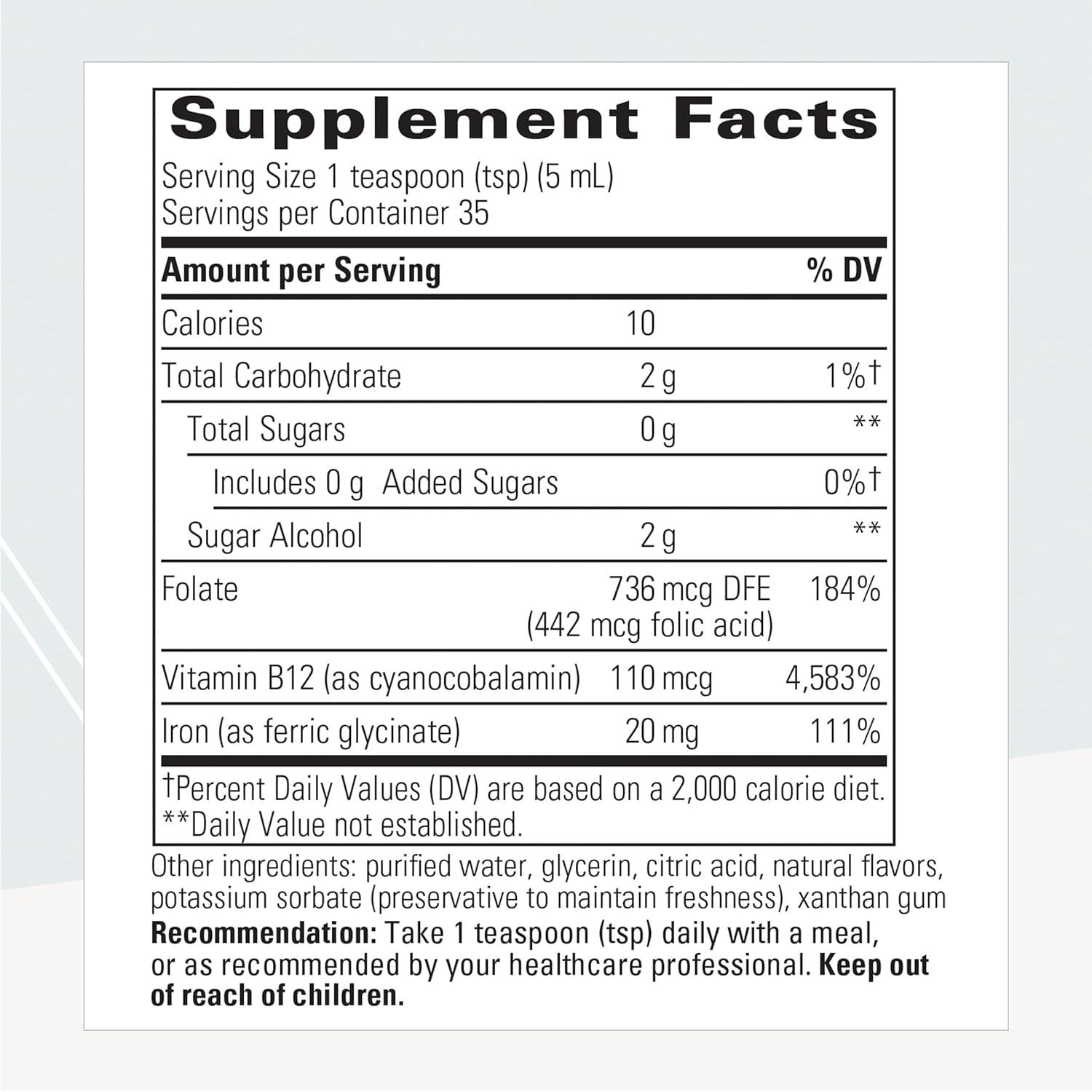 Liquid Iron - Iron Supplement with Vitamin B12 and Folate - Vegan, Gluten-Free & Dairy-Free Supplement for Energy Support* - 6 Fl Oz, Apple Cinnamon Flavored