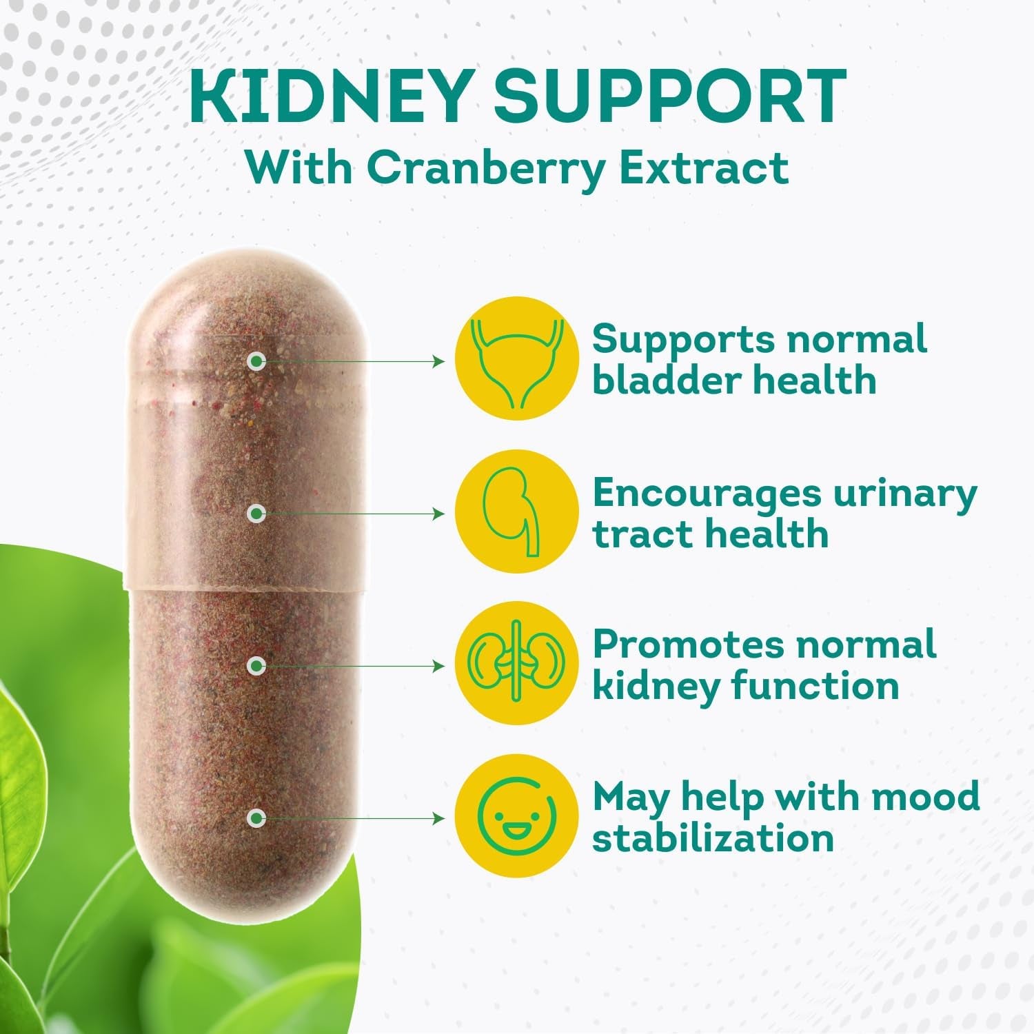 Purepremium Kidney Support Supplement for Men and Women - with Cranberry Extract to Support Urinary Tract, Normal Bladder Function and Supports Kidney'S Health - 4 Months Supply - 120 Capsules 