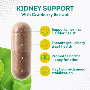 Purepremium Kidney Support Supplement for Men and Women - with Cranberry Extract to Support Urinary Tract, Normal Bladder Function and Supports Kidney'S Health - 4 Months Supply - 120 Capsules 