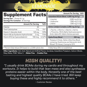 PMD Sports BCAA Stim-Free Amino Acids - Better Workout Performance, Enhanced Recovery, Daily Energy, Muscle Builder, and Muscle Sparing - BCAA Powder Drink Mix - Watermelon (30 Servings)