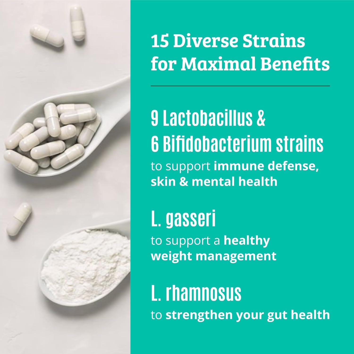 Prebiotics and Probiotics: Lactobacillus Gasseri, Lactobacillus Rhamnosus, Plantarum, Casei, Bifidobacterium Longum, Lactis, Infantis. Probiotic Prebiotic, Pre and Probiotics for Digestive Health.