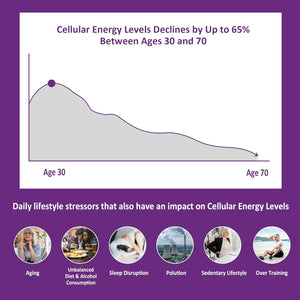NEVISS Nicotinamide 500Mg Gummies + Marine Algae Calcium Gummies Bundle