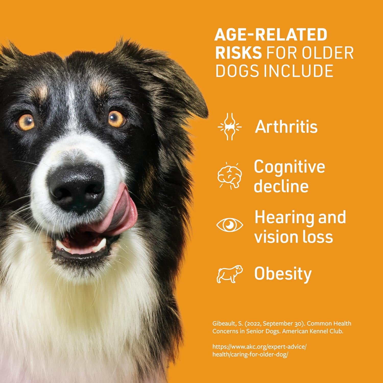 Veterinary Formula Smart Vitality Senior Support Supplement for Dogs - Soft Chews, 100Ct - Support Healthy Joints, Skin, Gut, and Immunity with Glucosamine Chondroitin for Dogs 