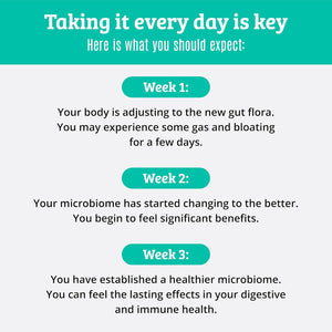 Prebiotics and Probiotics: Lactobacillus Gasseri, Lactobacillus Rhamnosus, Plantarum, Casei, Bifidobacterium Longum, Lactis, Infantis. Probiotic Prebiotic, Pre and Probiotics for Digestive Health.