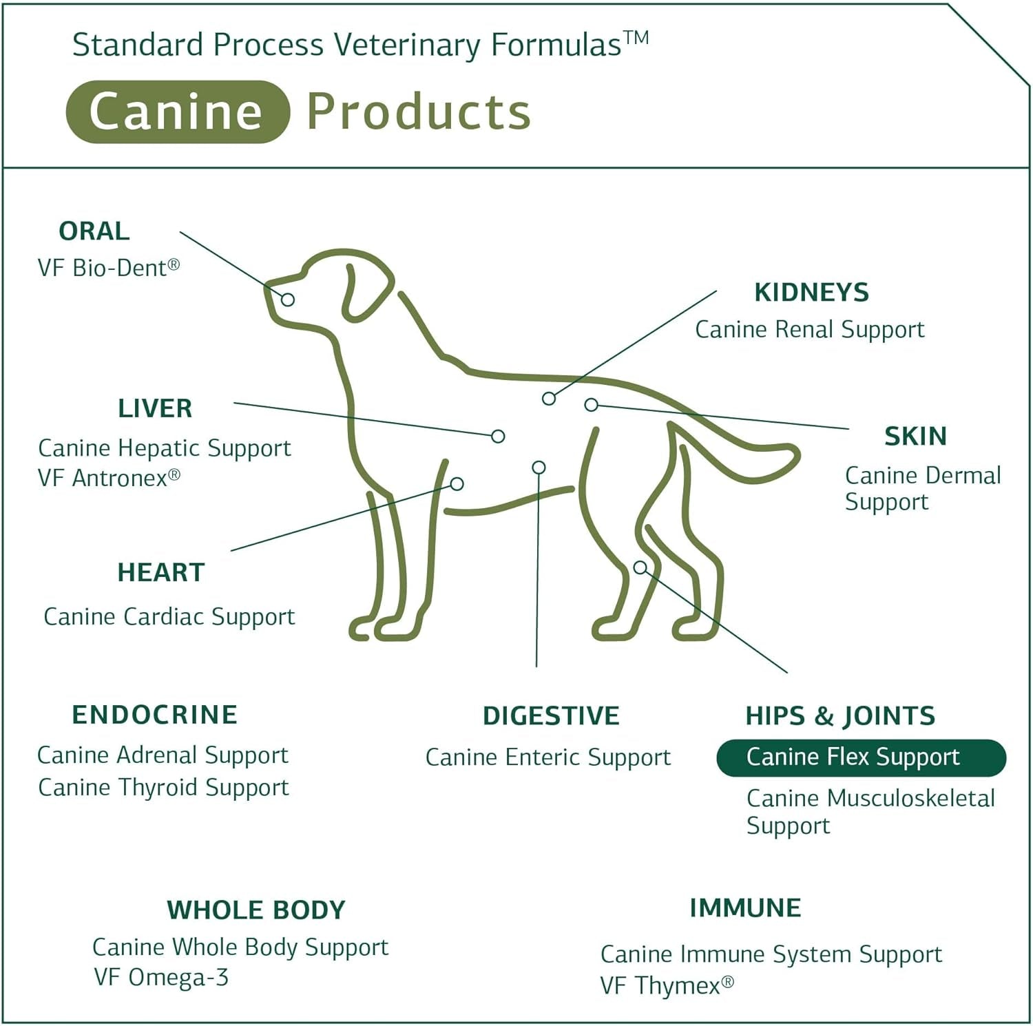 {Product Name} – {Primary Function} – USA-imported supplement delivered in Australia delivery through Australia Post