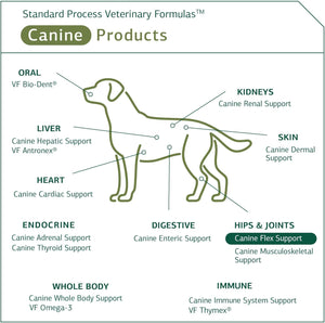 {Product Name} – {Primary Function} – USA-imported supplement delivered in Australia delivery through Australia Post