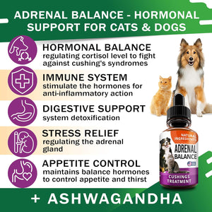 Liver Support Supplement for Dogs & Cats - Milk Thistle Liver Support - Canine Hepatic Care - Cat & Dog Liver Cleanse - Max Effect Liquid Drops