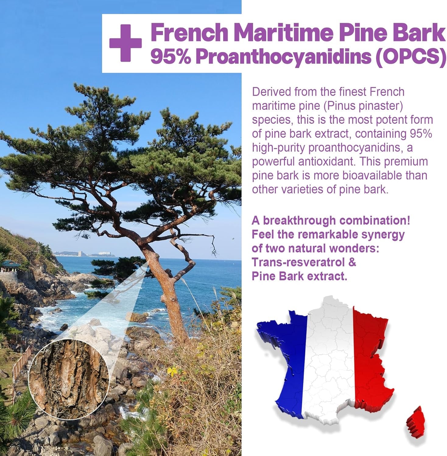 Resveratrol Supplement 1000Mg - Sugar Free Resveratrol Gummies W/Pine Bark Extract, Quercetin, Fisetin & Grape Seed for Antioxidant, Heart, Healthy Aging & Brain, 98% Pure Trans Resveratrol, 60 Cts 