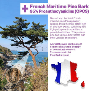 Resveratrol Supplement 1000Mg - Sugar Free Resveratrol Gummies W/Pine Bark Extract, Quercetin, Fisetin & Grape Seed for Antioxidant, Heart, Healthy Aging & Brain, 98% Pure Trans Resveratrol, 60 Cts 