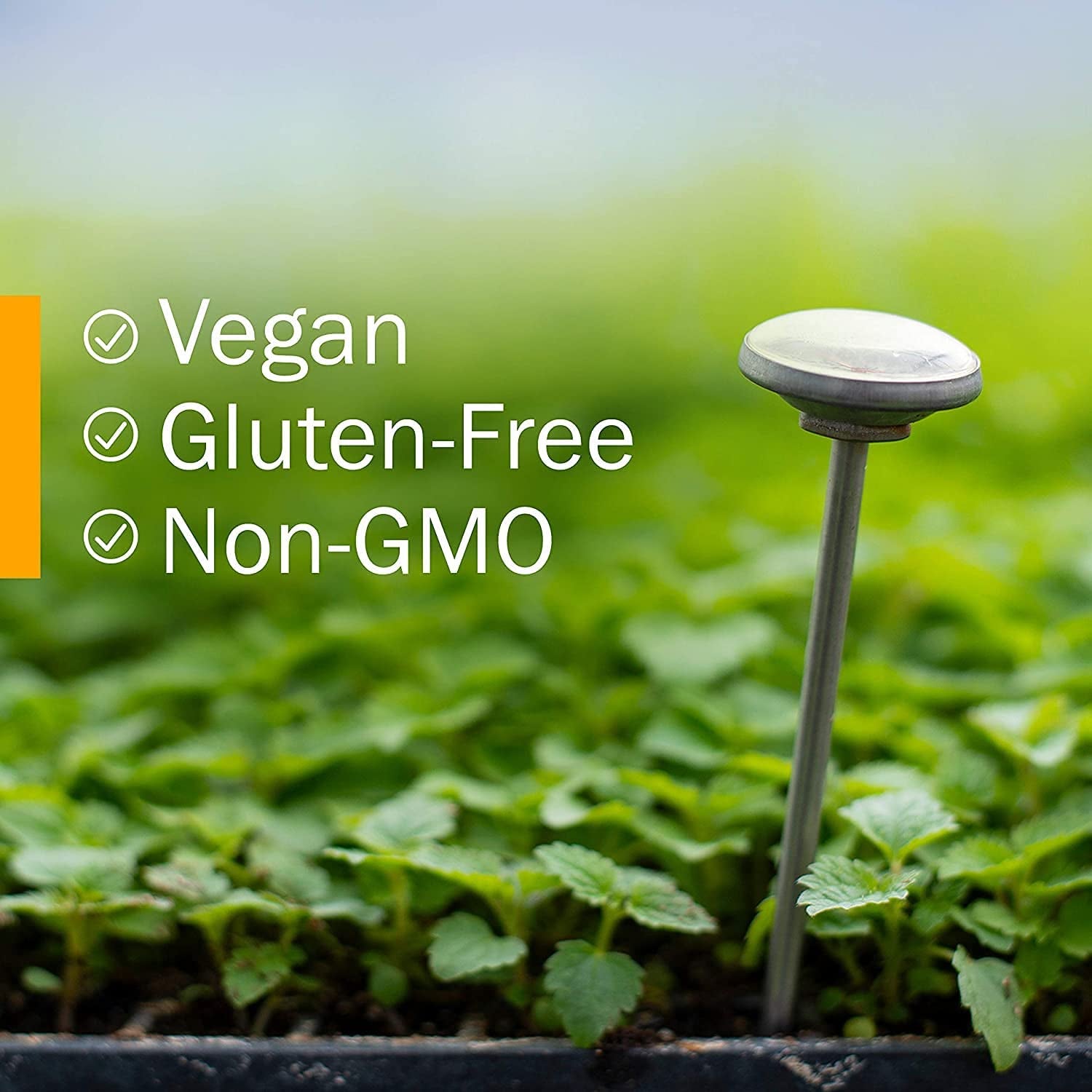 Herb Pharm Certified Organic Artemisia Annua (Sweet Annie) Liquid Extract, 1 Fl Oz 