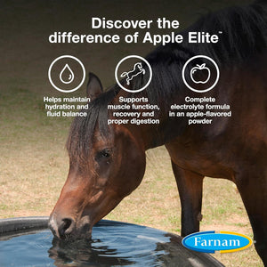Farnam Apple Elite Horse Electrolyte Powder, Replaces Minerals Lost in Sweat during Exercise, Extreme Weather & Stressful Conditions, 5 Lb., 40 Day Supply